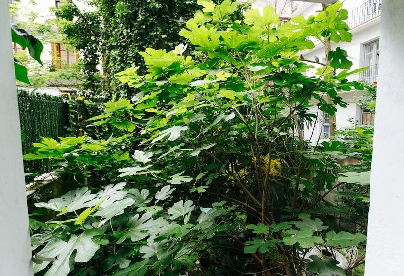 پانسیون Hostal San Sebastian Centro