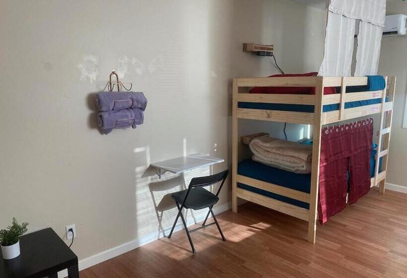 فندق صغير Whole Family   Barrette