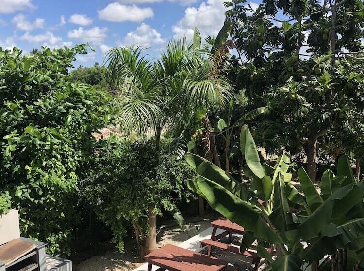 Sol Caribe Pc   Ducassi Rooftop Pool