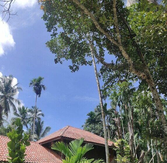 هتل S Ekar Pinang Langkawi