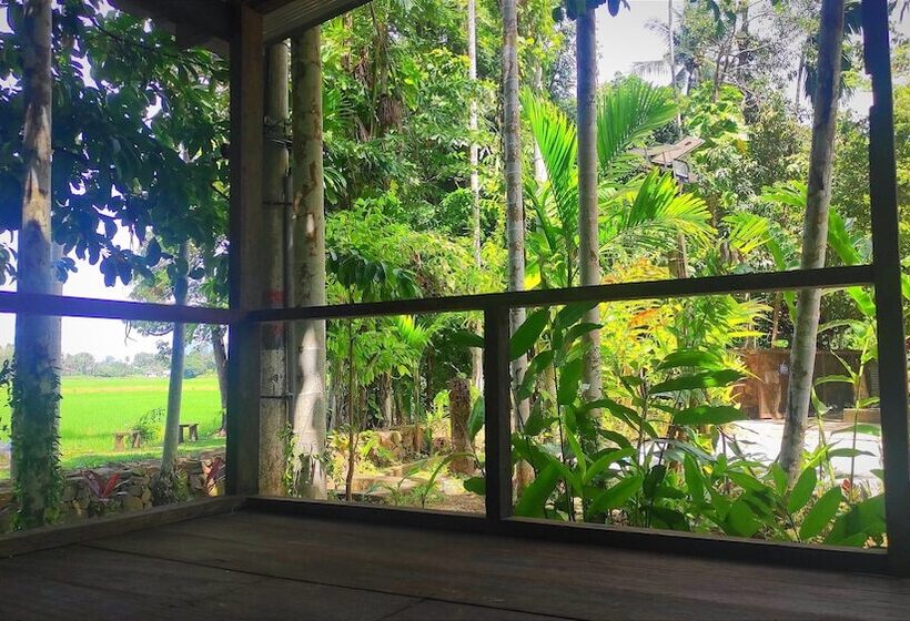 هتل S Ekar Pinang Langkawi
