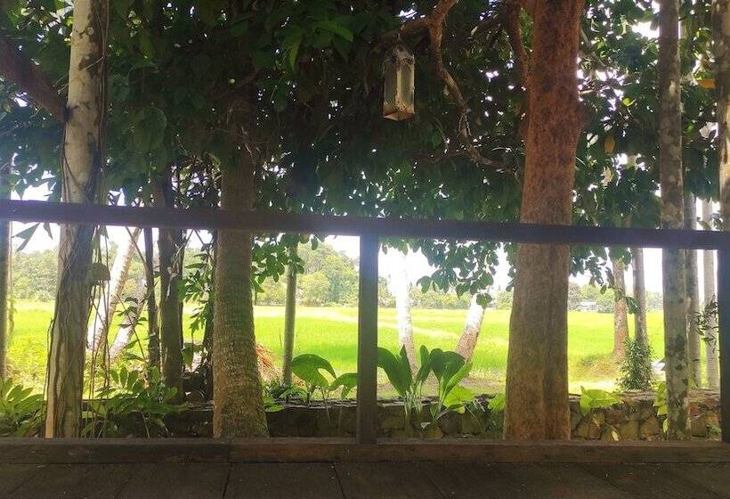 هتل S Ekar Pinang Langkawi