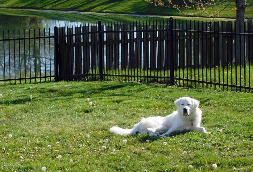 مبيت وإفطار Evonne S Sharing House