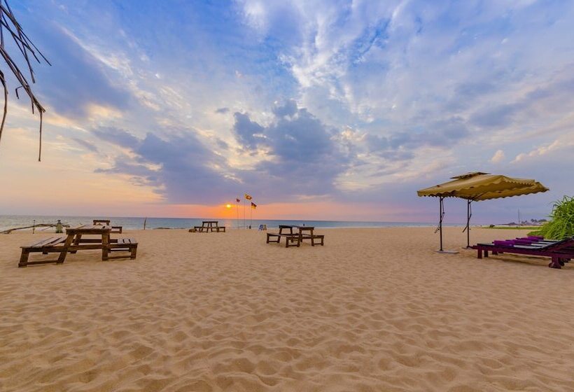 בית מלון כפרי Jungle Beach Ahungalla