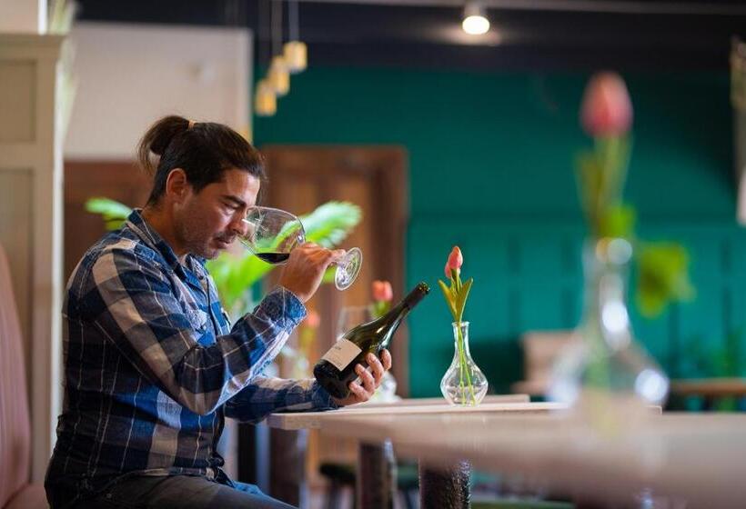 فندق Bungalow Miramar & Jeronimo At Casa Marin Vineyards