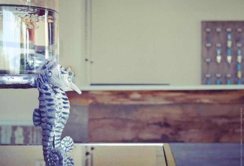 فندق Haven Montauk