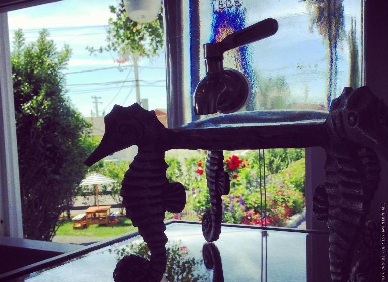 فندق Haven Montauk