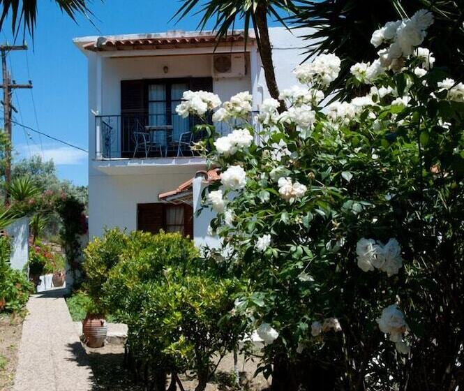 Camelia Studios