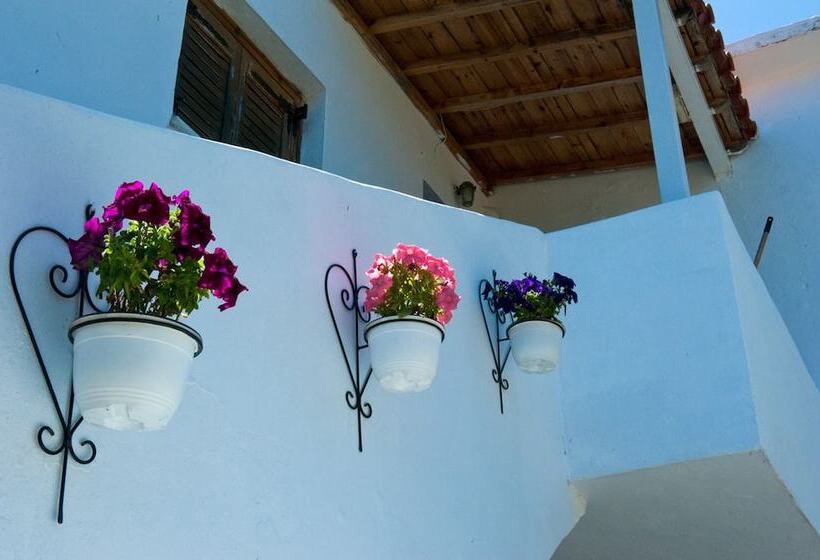 Camelia Studios