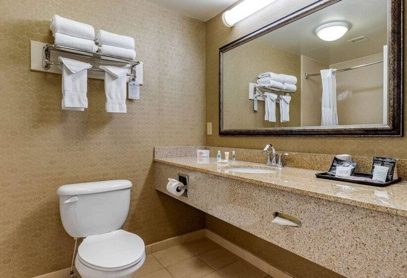 هتل Comfort Inn Warner Robins   Robins Air Force Base Area