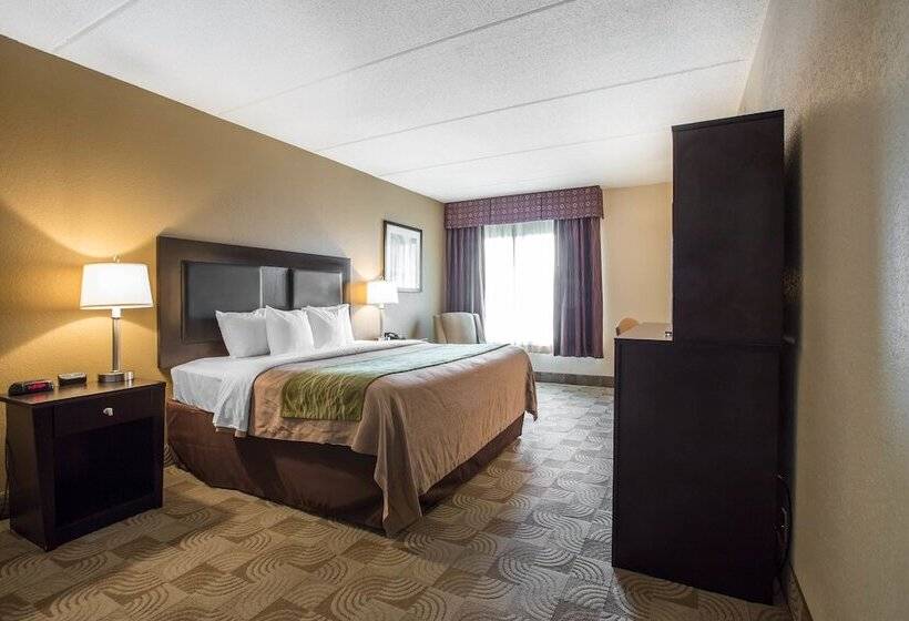 هتل Comfort Inn Warner Robins   Robins Air Force Base Area
