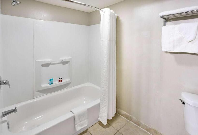 هتل Days Inn By Wyndham Hartsfield Jackson Atlanta Airport West