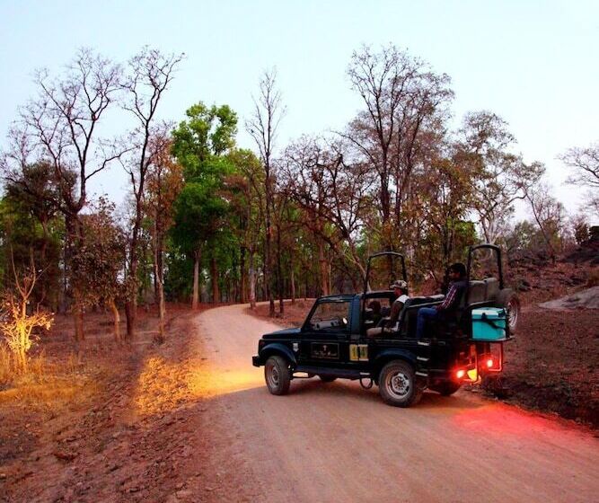 Tuli Tiger Resort