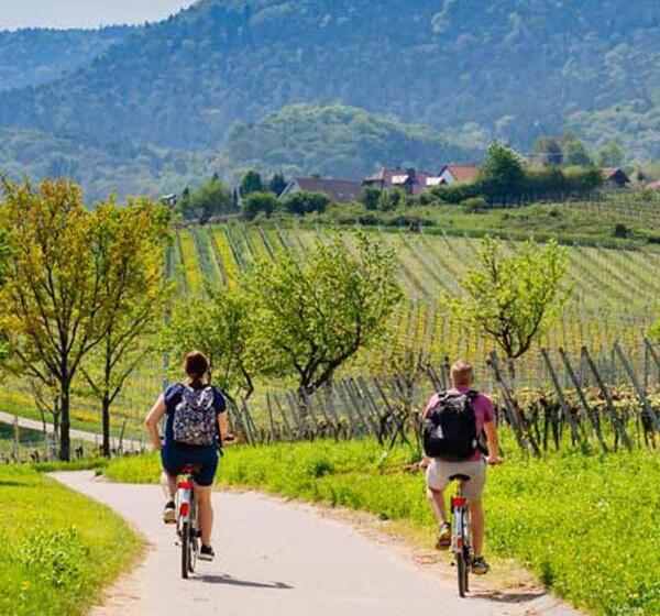 צימר Residenza Ilde