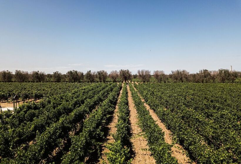 فندق ريفى Masseria Torleanzi   Wine Relais