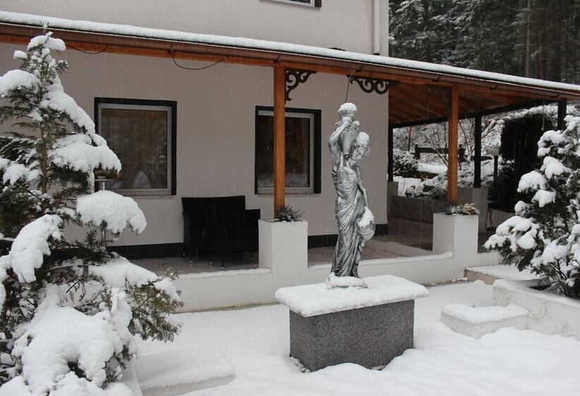 هتل Waldpension Pfeiferhaus