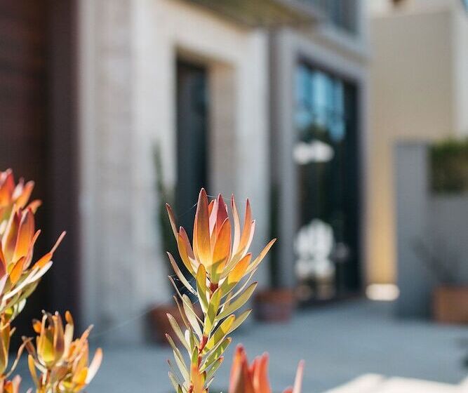 بنسيون Banksia By The Bay