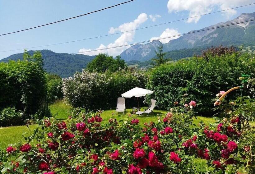 بنسيون Nomad Alp B&b