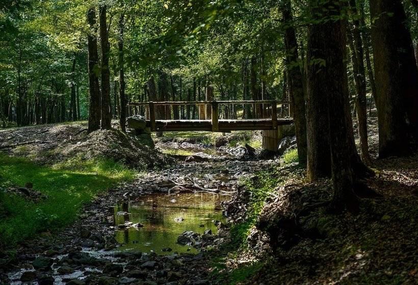 Bean Creek Cabins