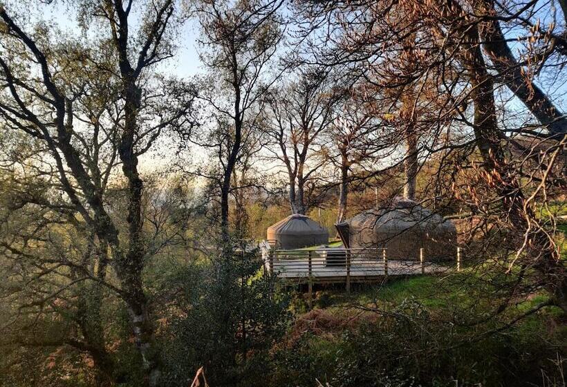 Charming Yurt In Kelburn Estate Near Largs