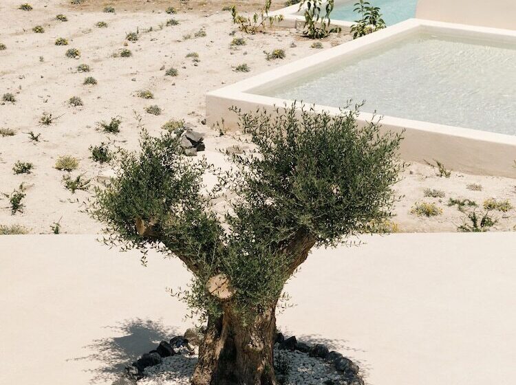 هتل Elysian Retreat