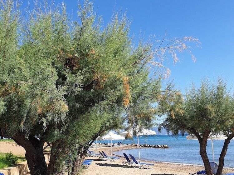 ホテル O Paradise Beach Resort & Spa