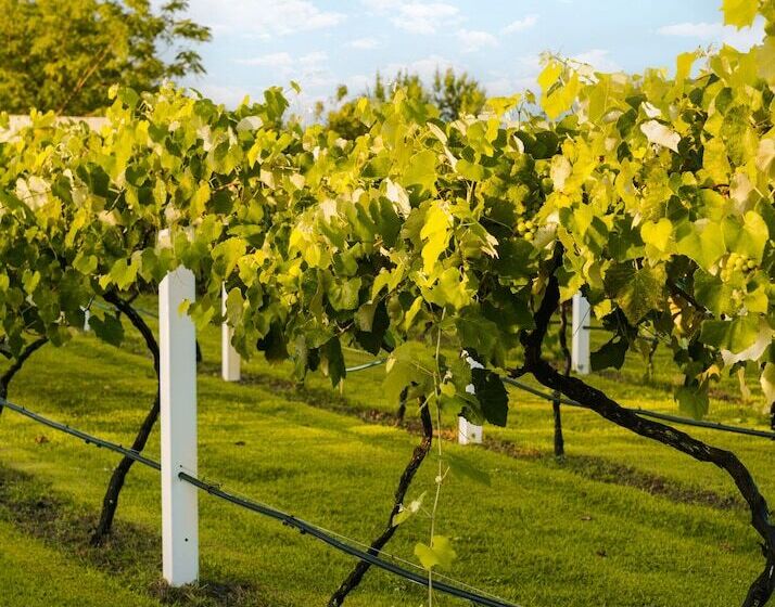 Отель Sonder Cirrus