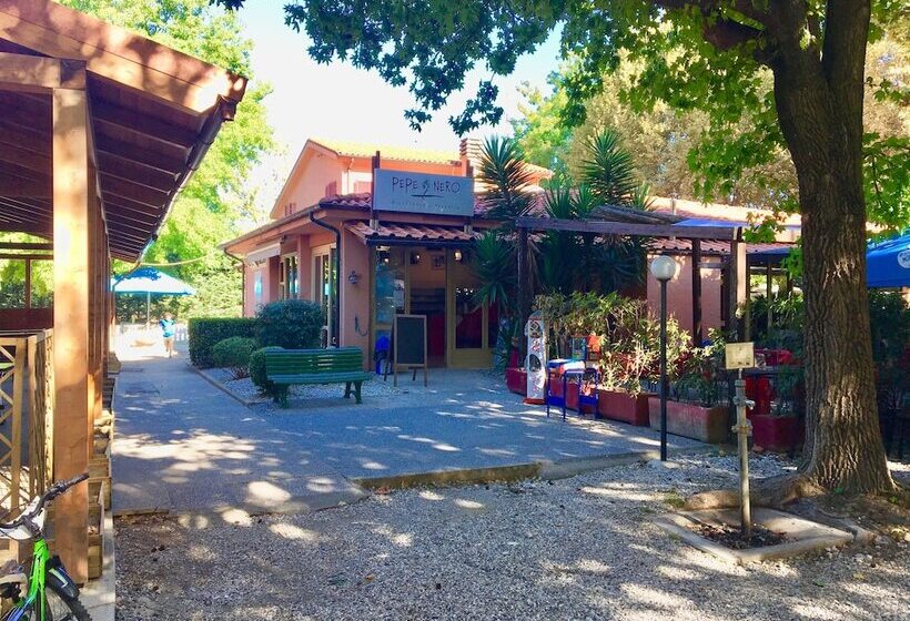 بنسيون Cinque Terre Campsitechalet 212 River Village Ameglia Including Airco