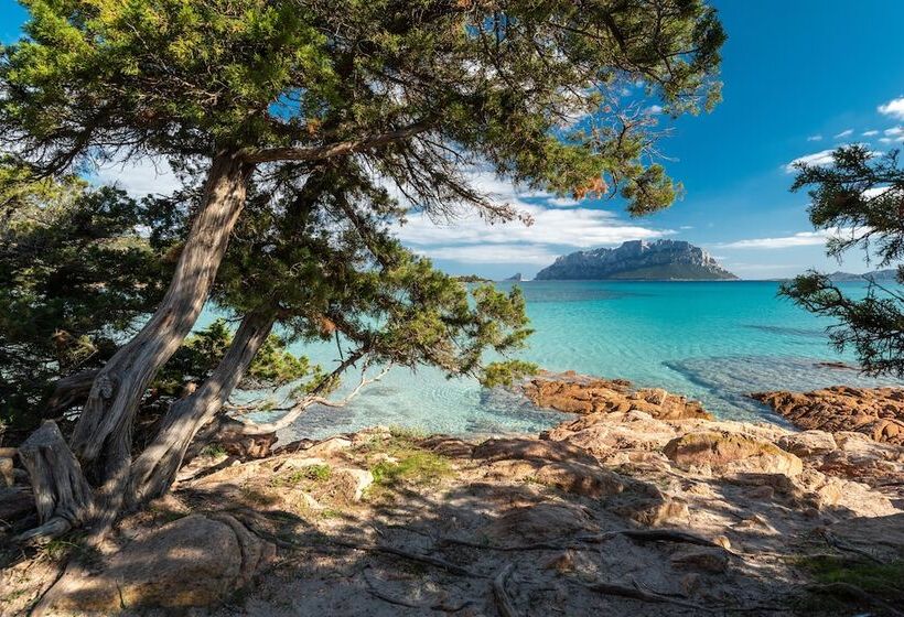 إقامة Il Girasole