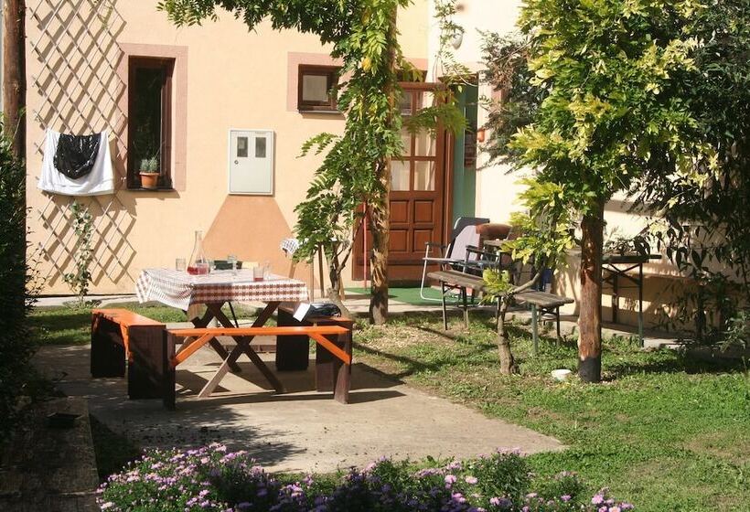 Hostel Flores