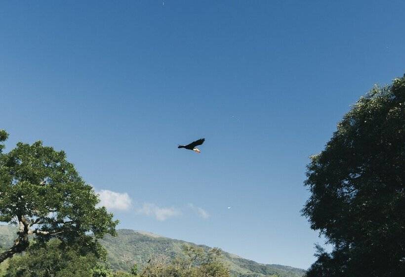 هتل Rincon Del Cerro