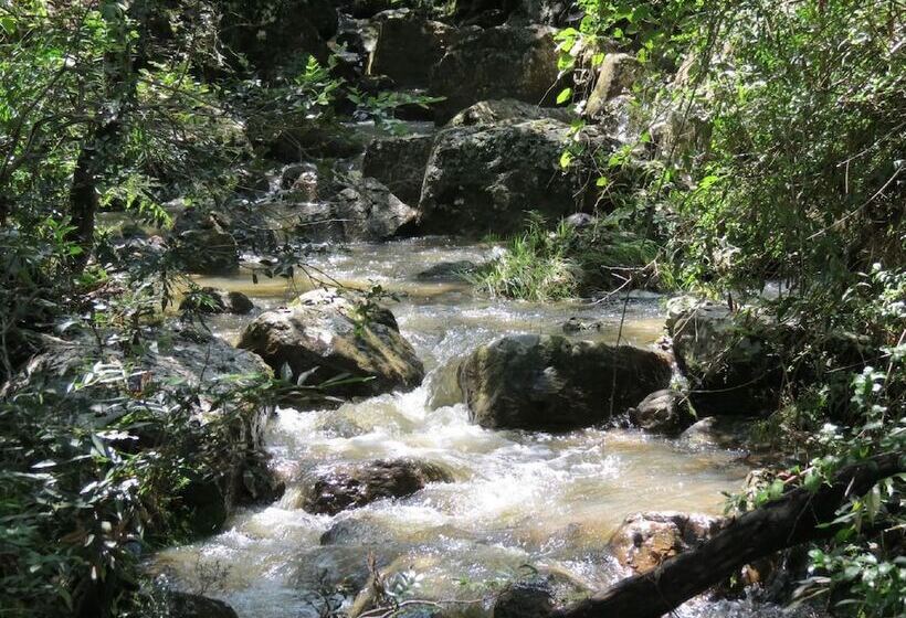 호텔 Ráquira Silvestre Lodge