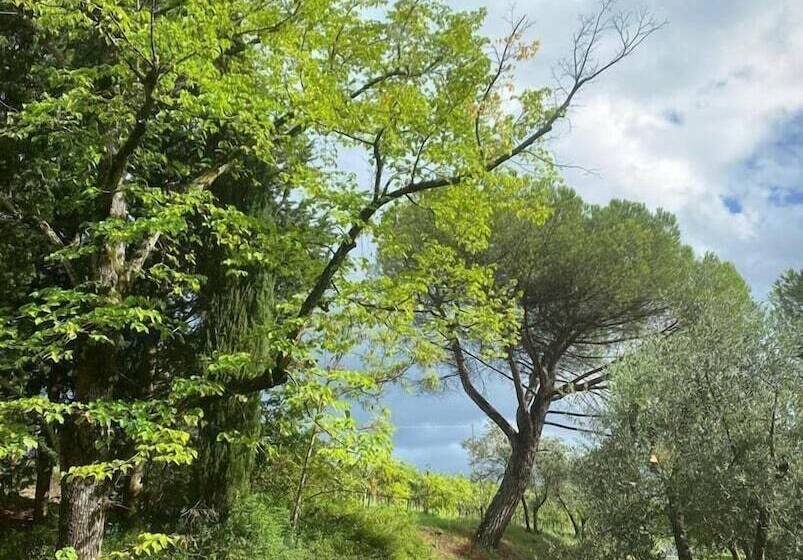 田舎風ホテル Corte Di Valle Wine And Resort