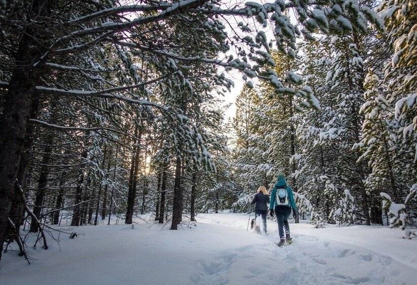 리조트 Mountainside Lodging & Retreats