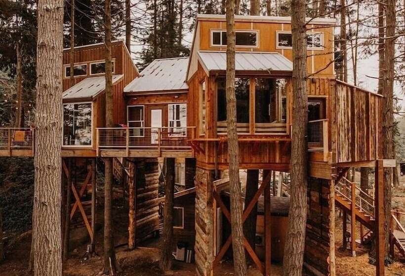 فندق Treehouse Over The Water   Eagle S Nest