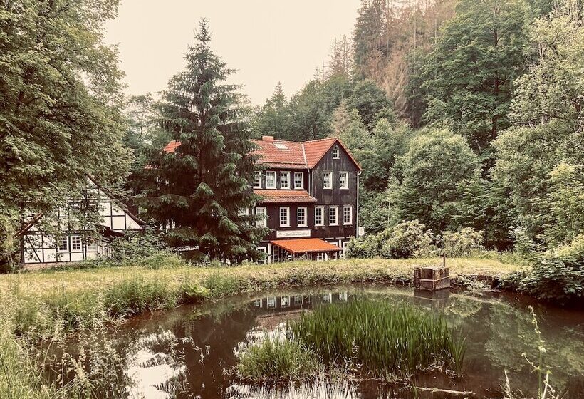 هتل Waldhaus Wolfsbachmühle