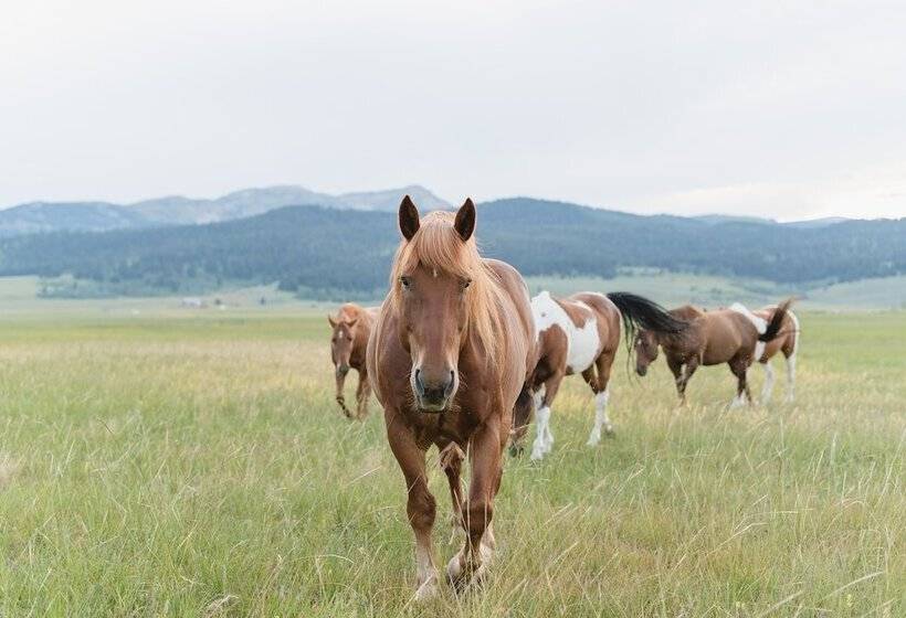 Курорт Under Canvas North Yellowstone   Paradise Valley