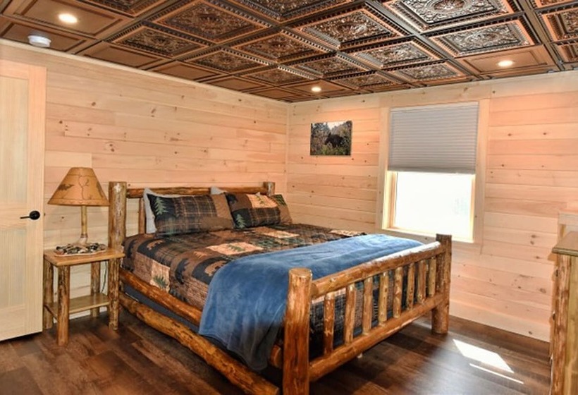 Back Lake Lodges Eagles Nest