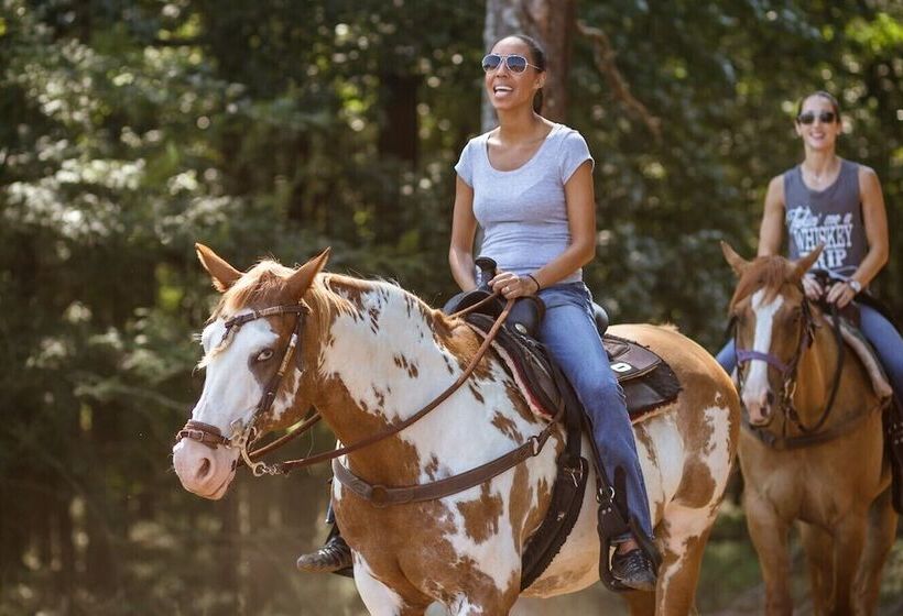 مبيت وإفطار Southern Cross Guest Ranch
