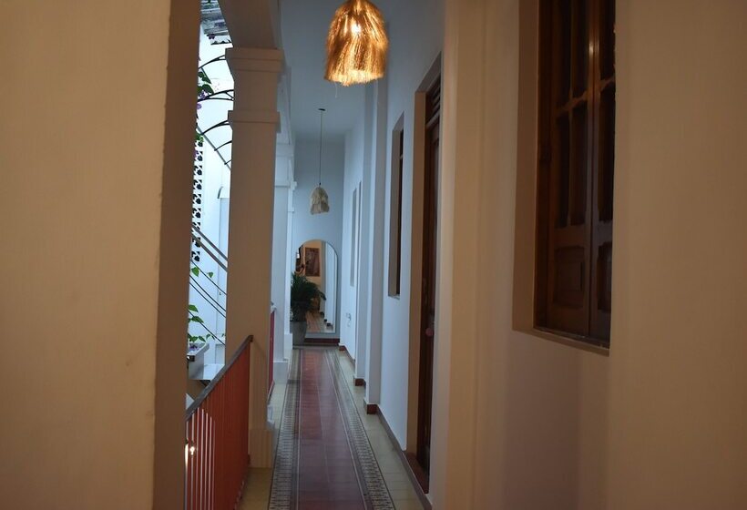 Casa Rosa   Alma Hotels