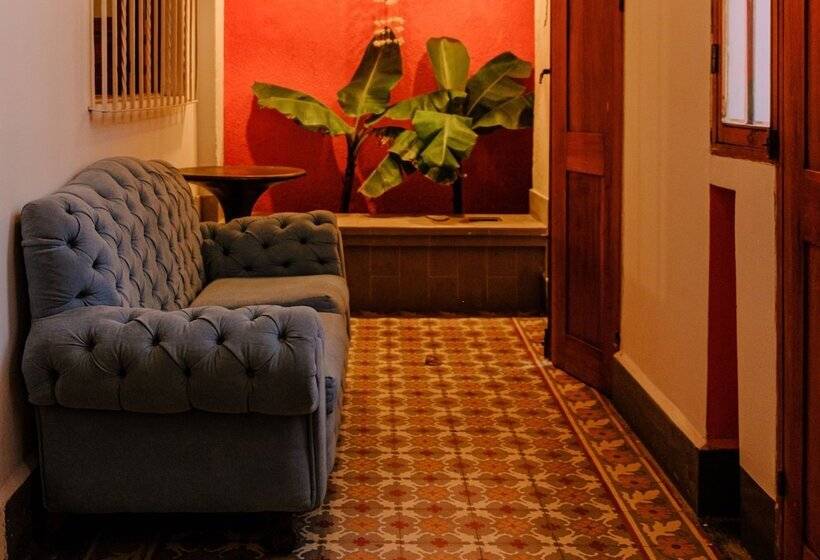 Casa Rosa   Alma Hotels