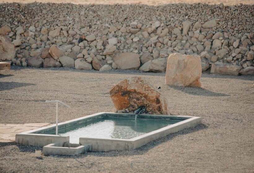 ホテル Desert Reef Hot Springs