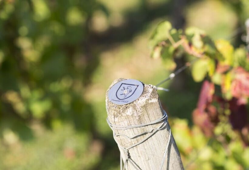 פנסיון Domaine Gille