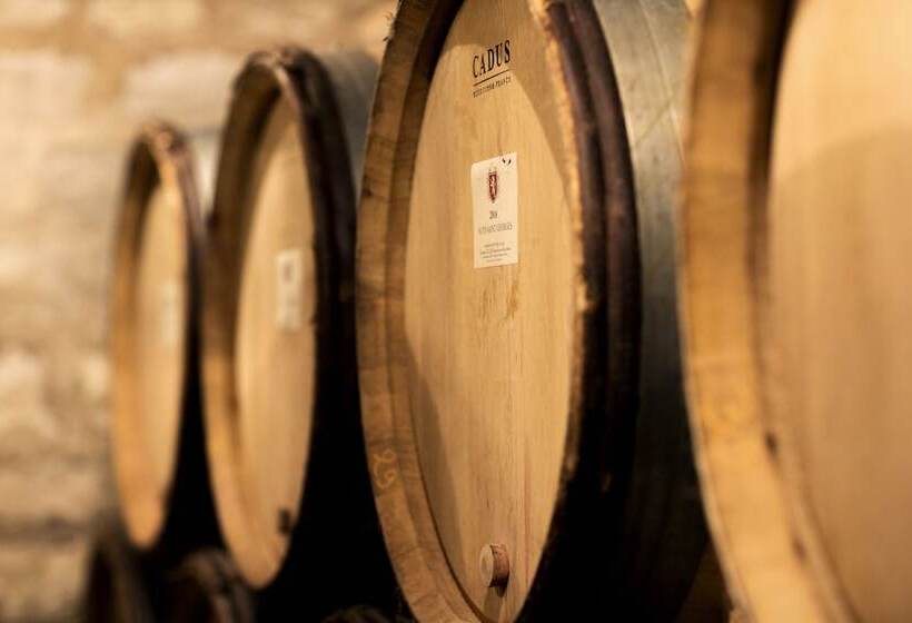 פנסיון Domaine Gille