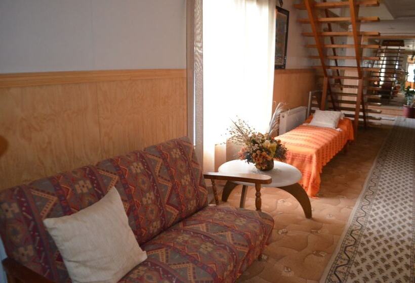 فندق صغير Hostal Los Pinos