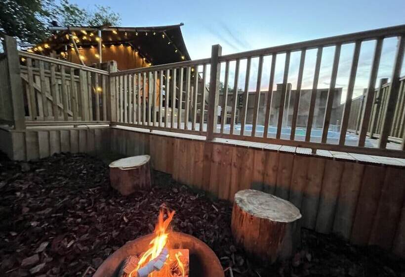 酒店 Robin Hood Safari Tent