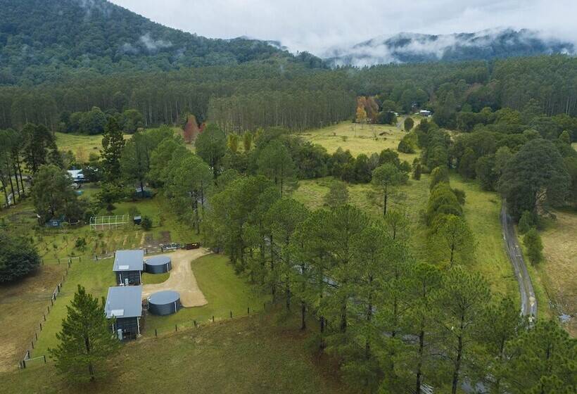 Пансион Contained In Nimbin