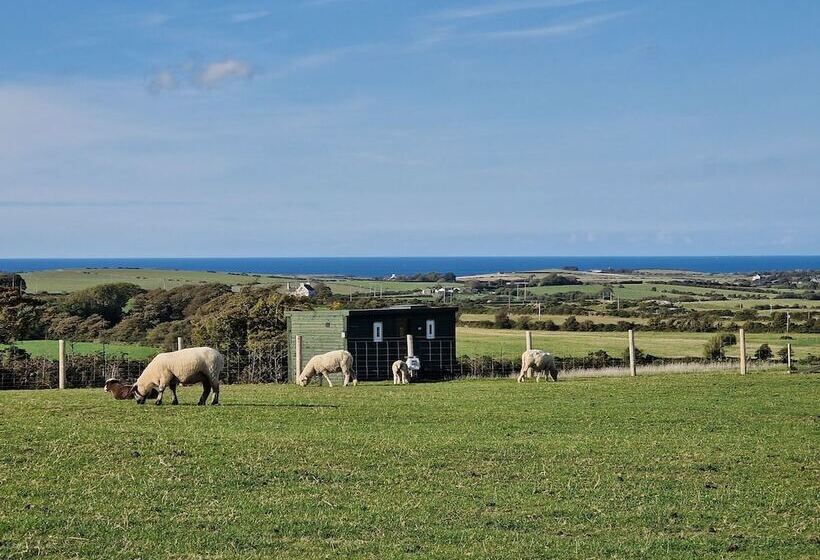 Stunning 1 Bed Shepherd Hut