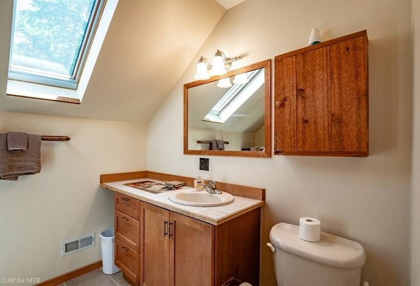 Back Country Cabin