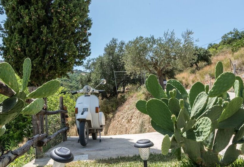 住宿加早餐  Country House L Antica Pietra